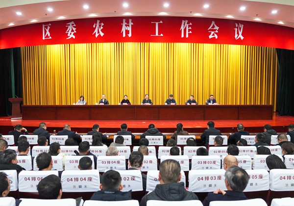 2月20日下午，區委召開農村工作會議。徐浩翔 攝 (1).jpg